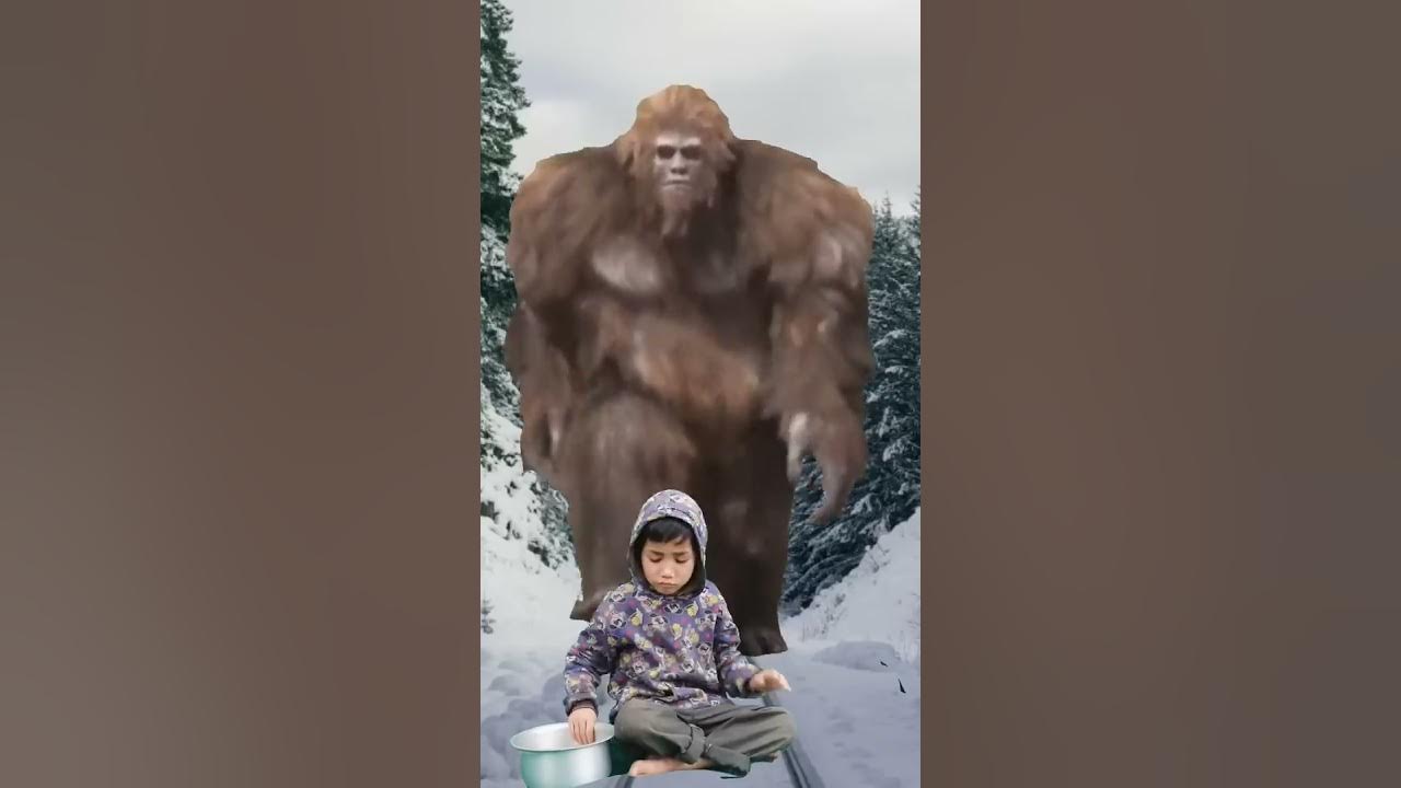 Bigfoot yeti vfx 🔥😭😂