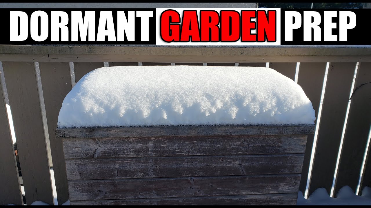 Dormant Bed Prep - Garden Quickie Episode 102