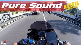 Pure Sound Agesti Exhaust - Cbr250Rr