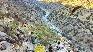 Download Lagu Real nomadic life 🏔️ | Traditional herding, taking sheep to pasture and +picking wild apples 🍎🐑 MP3 Download Lagu Real nomadic life 🏔️ | Traditional herding, taking sheep to pasture and +picking wild apples 🍎🐑 MP3