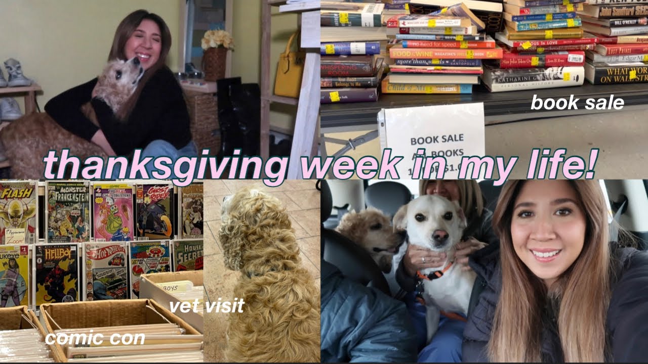 thankgiving week in my life! (comic con, book sale, vet visit, black friday shopping)
