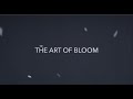 The Art of Bloom Teaser