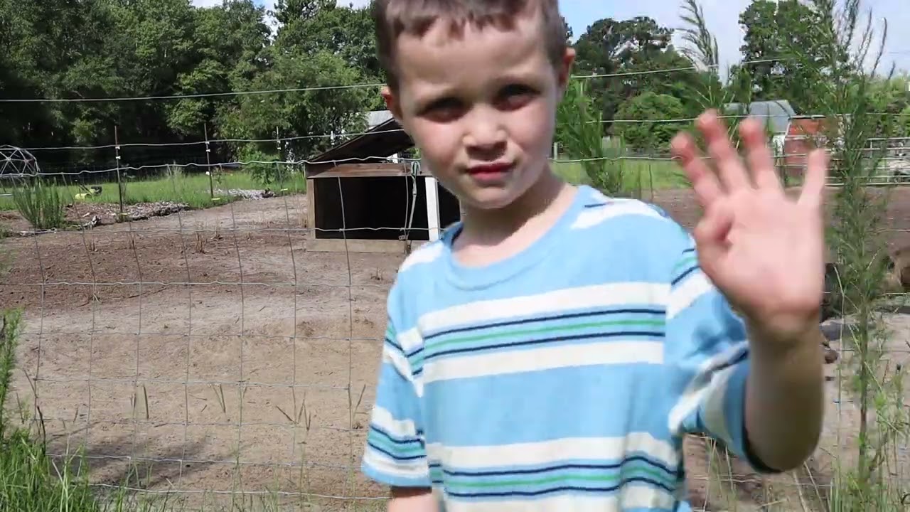 Pig Wrangling with the Kiddos