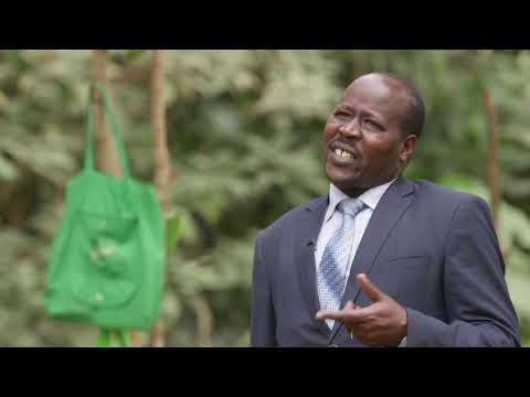 thumbnail of Strengthening the Capacity of Local Forest and Water Management Institutions