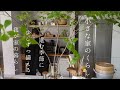 小さな家のくらし|我が家の忙しい秋/ウッドデッキの手入れの理由/いきなり団子 作ってみた🍠