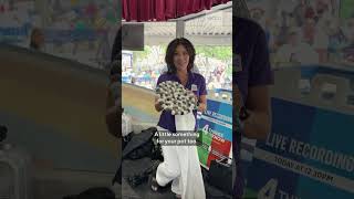 Minnesota State Fair Pants Save The Evening News