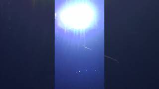 turi puteh,,bersama gus wahid