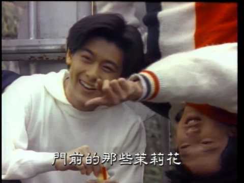 林志穎  十七嵗的雨季 MV [超清版] Laserdisc 版