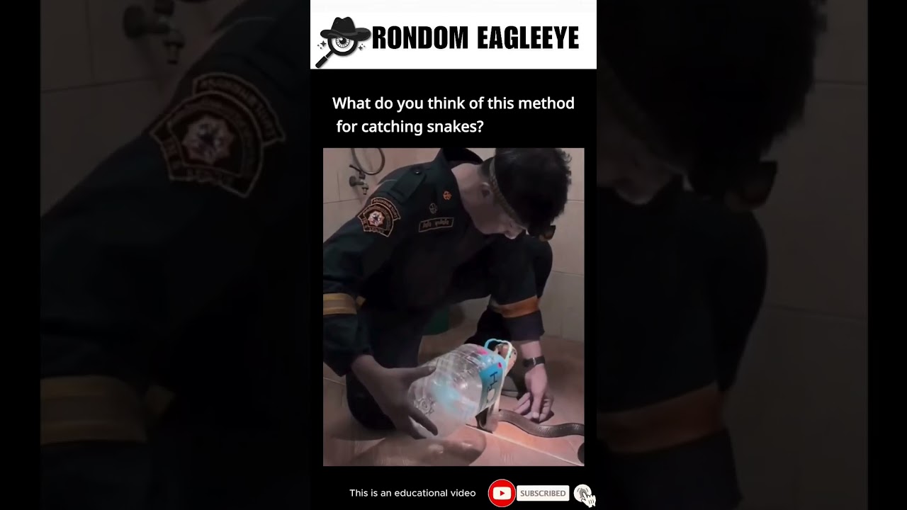 Genius Snake Trap Using Bottles – Simple DIY Wildlife Control Hack 