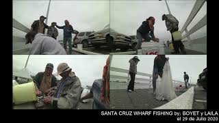 Santa Cruz Wharf Fishing Report JULY 2020 (Anchovies) HD