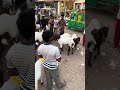 Meerut ki Mandi #azharvlogs #goat #bakr #animals #shortsfeed #trendingshorts #viral #meerut #cow