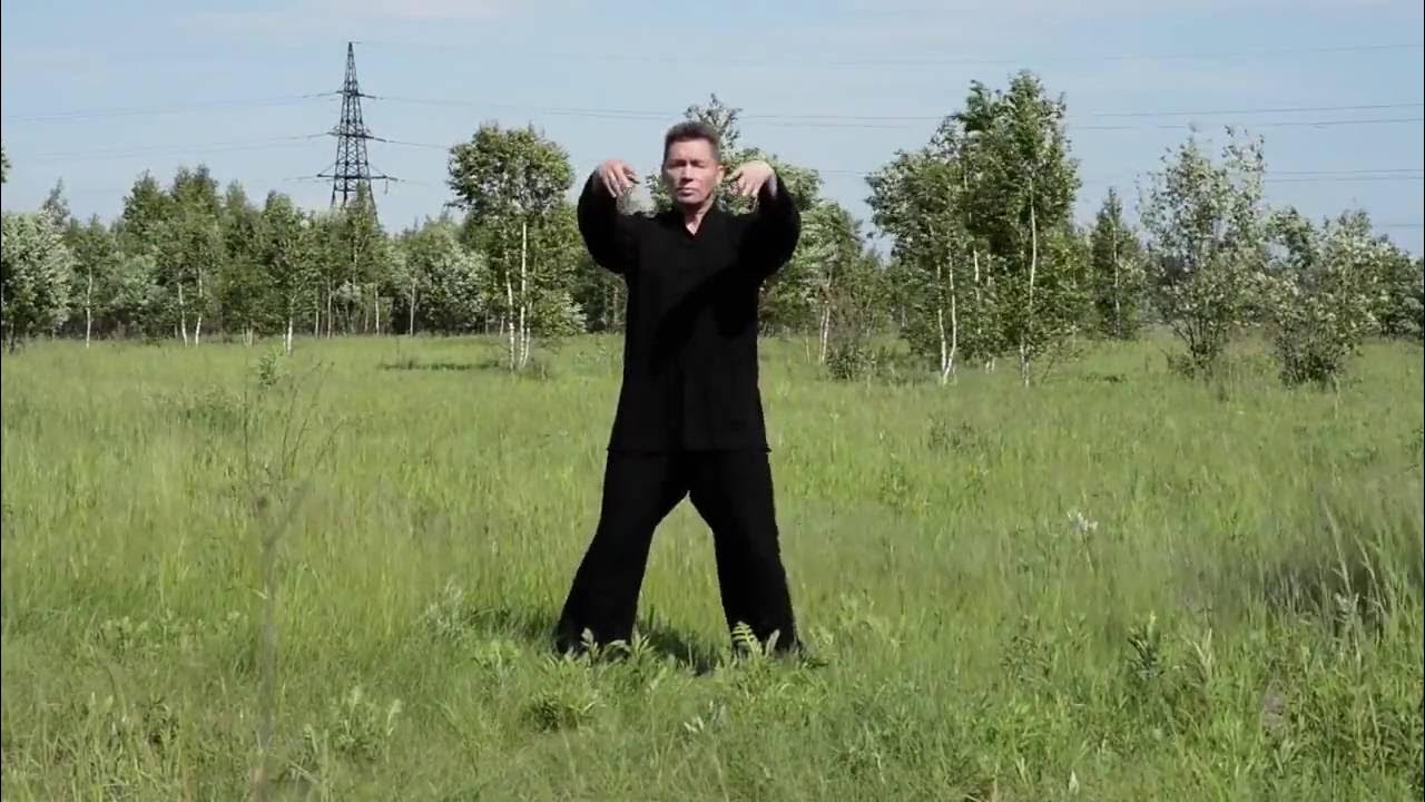 Видео цигун 24 формы. Тайцзи шань веер. 8 кусков парчи. Формы цигун видео. 5 зверей цигун.