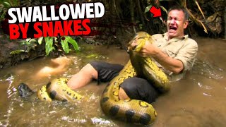 These 3 Snakes Ate People Alive & Swallowed Them Whole!
