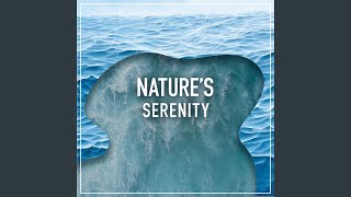 Nature in Wallin's Bightle Copse