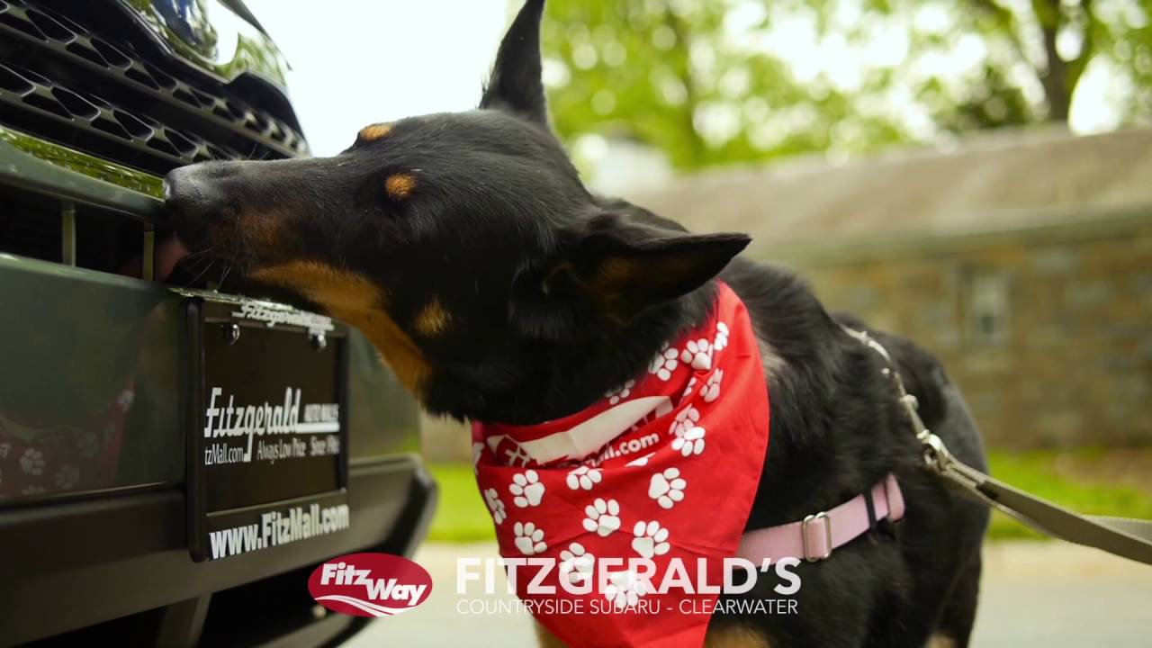 FitzAuto - Subaru Impreza Clearwater, FL