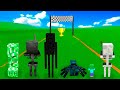 ¿Qué MOB de MINECRAFT es más RAPIDO? - Garry's Mod
