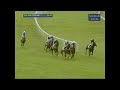 2012 StanJames.com International Hurdle - Zarkandar