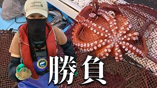 A husband and wife battle it out over a giant octopus! A hilarious