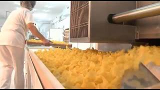 Marodi Tjestenina Reportaža