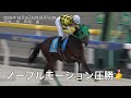 【4頭立ての新馬戦】2026年10月2日船橋競馬場3Rノーブルモーション4馬身差圧勝！