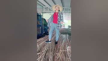 Lá dừa nước lợp nhà ai cần liên hệ vựa lá dừa Vân 0909143895