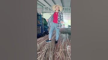 Lá dừa nước lợp nhà ai cần liên hệ vựa lá dừa Vân 0909143895