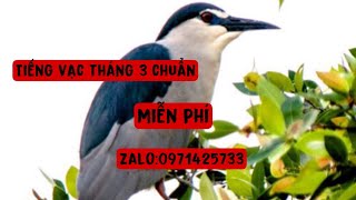 Tiếng vạc chuẩn tháng 3 hai vế đảo ăn chim 0971425733