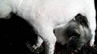 MVI_0501.AVI
