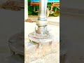 207 Excel bearing setting #automobilerepair #mecanical #youtubeshorts