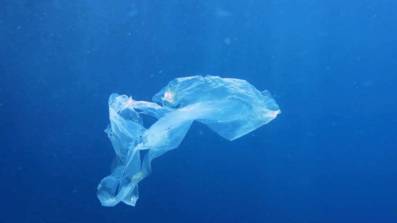 Plast i havet - hva gjør vi og hva kan vi gjøre?