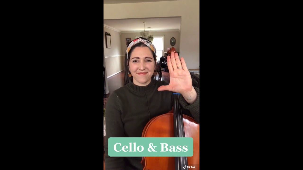Instrument Hand Set Up (Cello & Bass) - YouTube