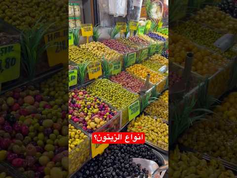 انواع الزيتون