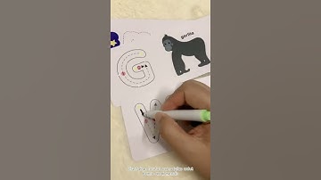 MATCHING, SPELLING & TRACING TOYS | Mommy Happy