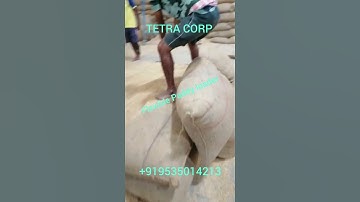 Flexible Grain Loader for paddy, Ash, Husk., +919535014213