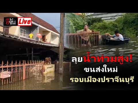 LIVE: Wading Through High Floodwaters! New Transport Hub, City Perimeter, Prachin Buri | EJAN