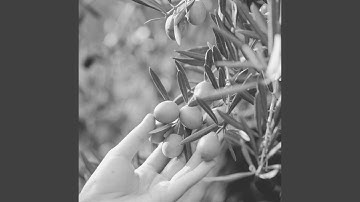 Smart Moods for Finding Clarity