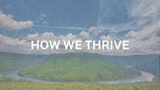 How We Thrive
