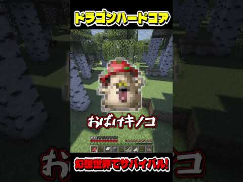 【マイクラ】妖精の村に迷い込むと…?【ゆっくり実況】