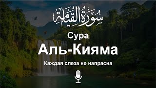Сура Аль-Кияма سورة القیامه | Мощное чтение Корана, проникающее в самое сердце утешение
