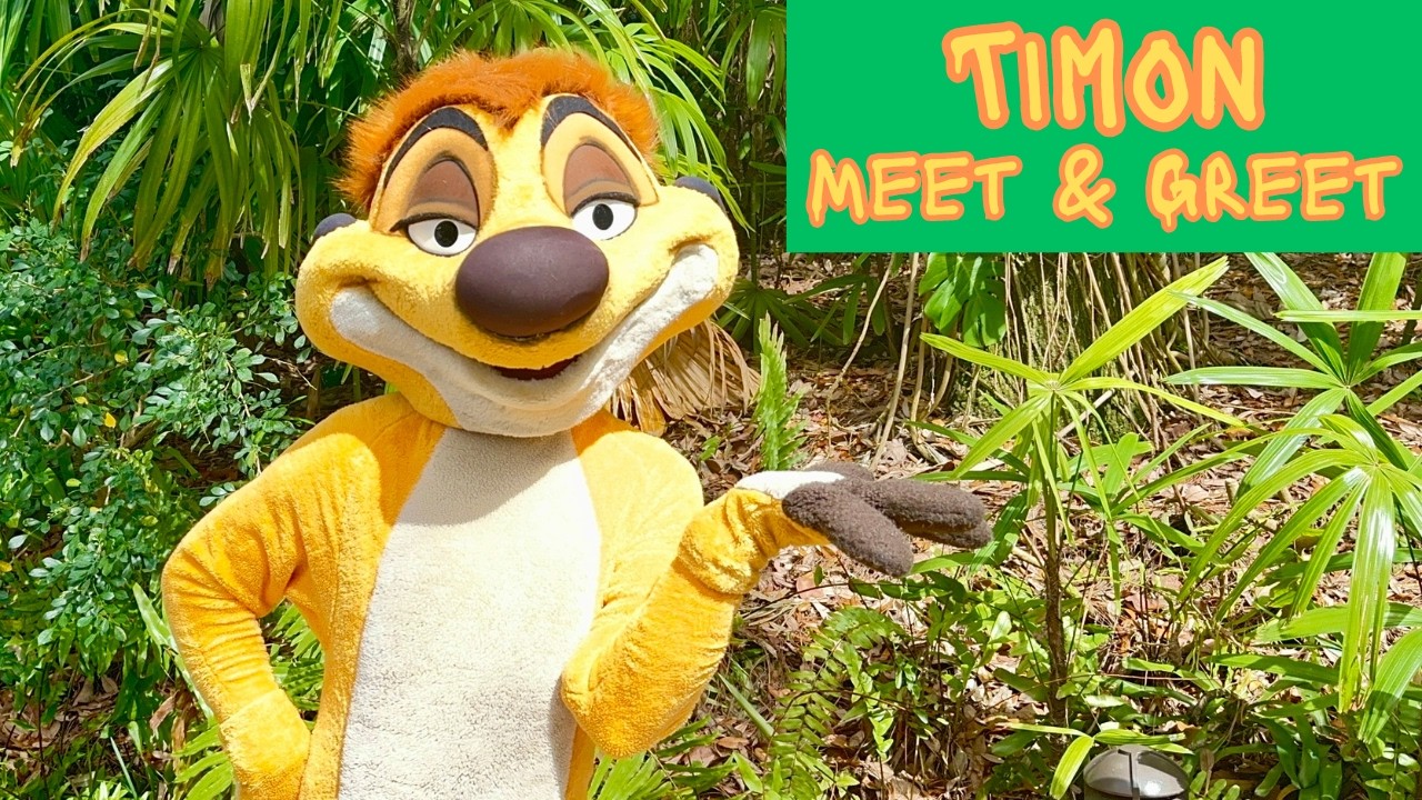 Timon Meet Timon Meet & Greet, Animal Kingdom. (new location) - YouTube