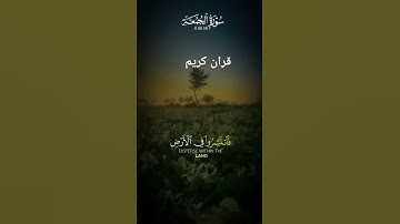 سورة الجمعه #قران #اكسبلور #beautiful #duet