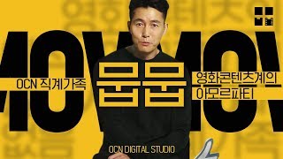 2019년에는 핵꿀잼 콘텐츠만 취급합니다 [OCN 스튜디오 뭅뭅]