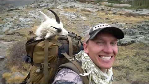 50'000' of Memories an Archery Mountain Goat Hunt ...