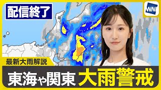 ウェザーニュースの配信のサムネイル画像