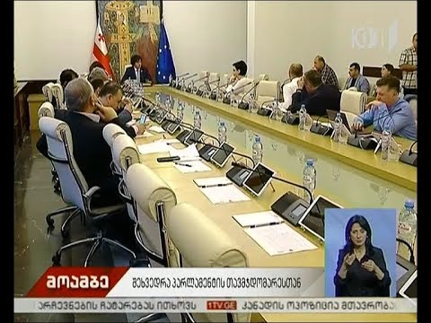 შეხვედრა პარლამენტის თავმჯდომარესთან