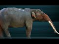 The Shovel-Tusked Elephant Relatives: The Gompotheriidae
