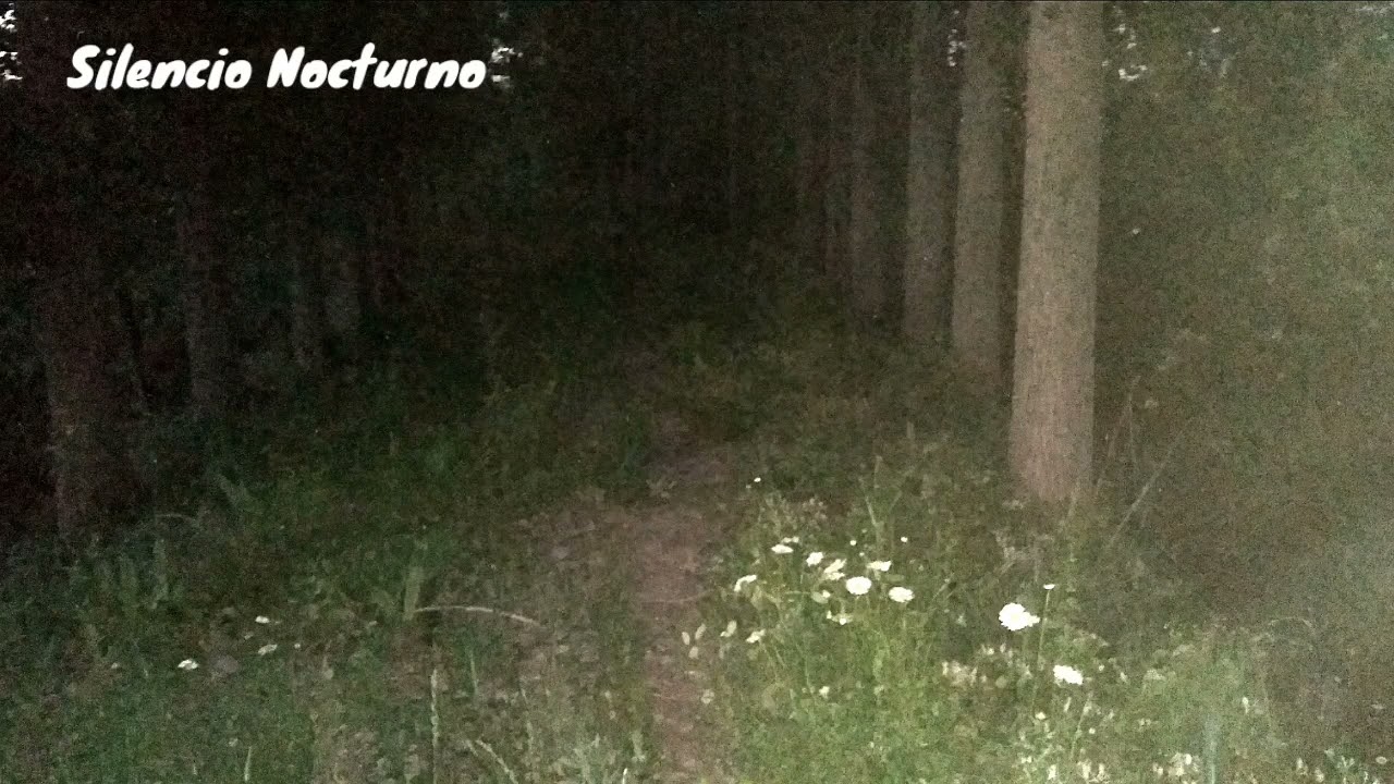 9 Nueve - Silencio Nocturno