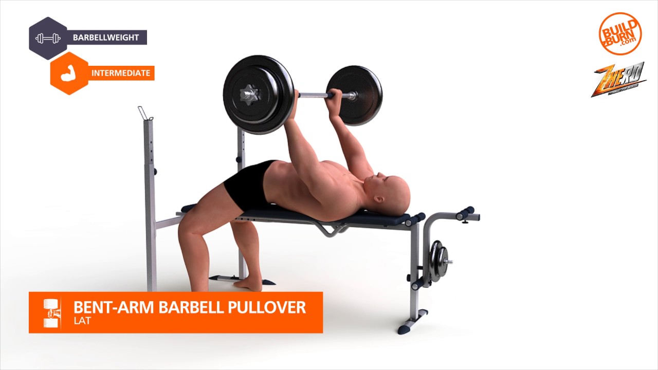 Lat Bent Arm Barbell Pullover YouTube