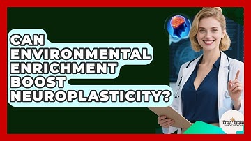Can Environmental Enrichment Boost Neuroplasticity? - Brain Health Support Network