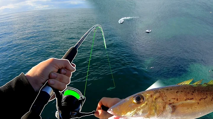 Whiting Fishing - HOT BITE!